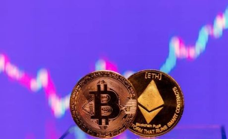 The Impact of Exchange Platforms on the Craft of Translation