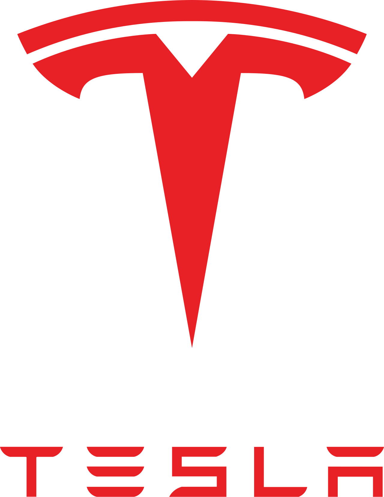 Tesla flying car